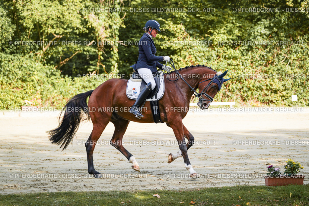 DSC07631 | Pferdegrafie