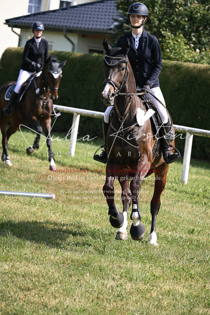DSC_0732 | Pferde- und Turnierfotografie in Westsachsen. Pferdeportraits, Auftragszeichnungen und intuitive Kunst.