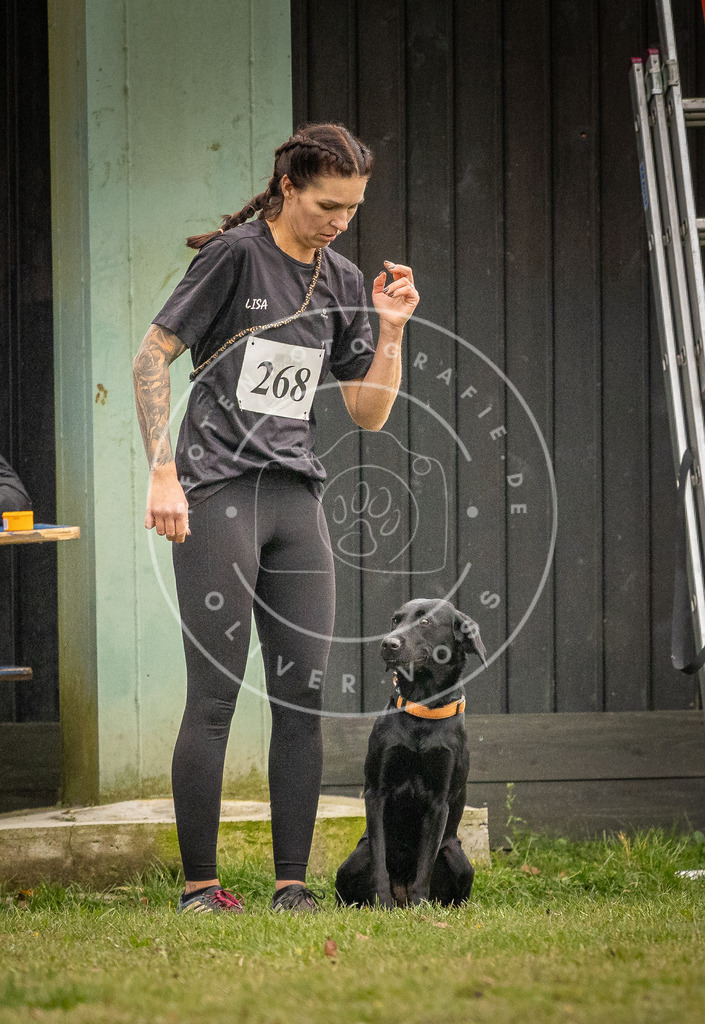 Pfotenfotografie_DV3A7561 | Hundefotografie, Tierfotograf, Pfotenfotografie, Fotoshooting Hund, Hunde Portrait, Hundesport, Hundeportraits, Heideshooting, Hunde, Sportfotograf, Hundefotograf, Turnierhundsport, THS,  - Realisiert mit Pictrs.com