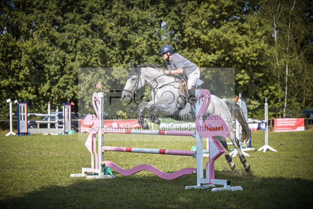 DOS_0464 | Entdecke hochwertige Reitturnierfotos von Foto Oger. Professionell, emotional und authentisch – jetzt Lieblingsmomente im Shop bestellen.Deutschlandweite Turnierfotografie. - Realisiert mit Pictrs.com
