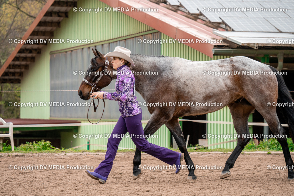 BA300105 | dv-media-shop - Realisiert mit Pictrs.com