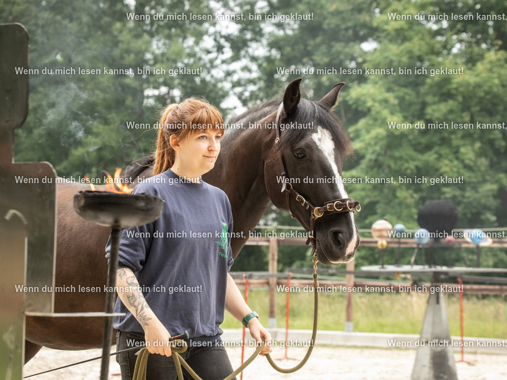 598A6513 | photographylinaismer - Realisiert mit Pictrs.com