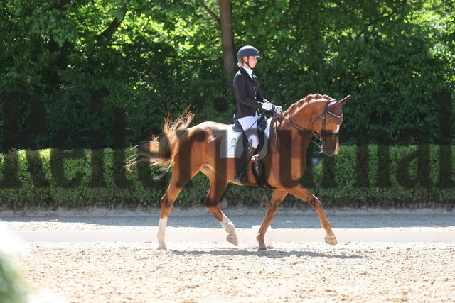 Böblingen_2025_Prfg.Nr.08_Dressurprüfung_Kl.M_Nürnberger Burgpokal_Mila Seiderer_Liljana (1) | Alle Fotos der Reiterjournal Fotografin Doris Matthaes im Reiterjournal Online-Fotoshop. - Realisiert mit Pictrs.com
