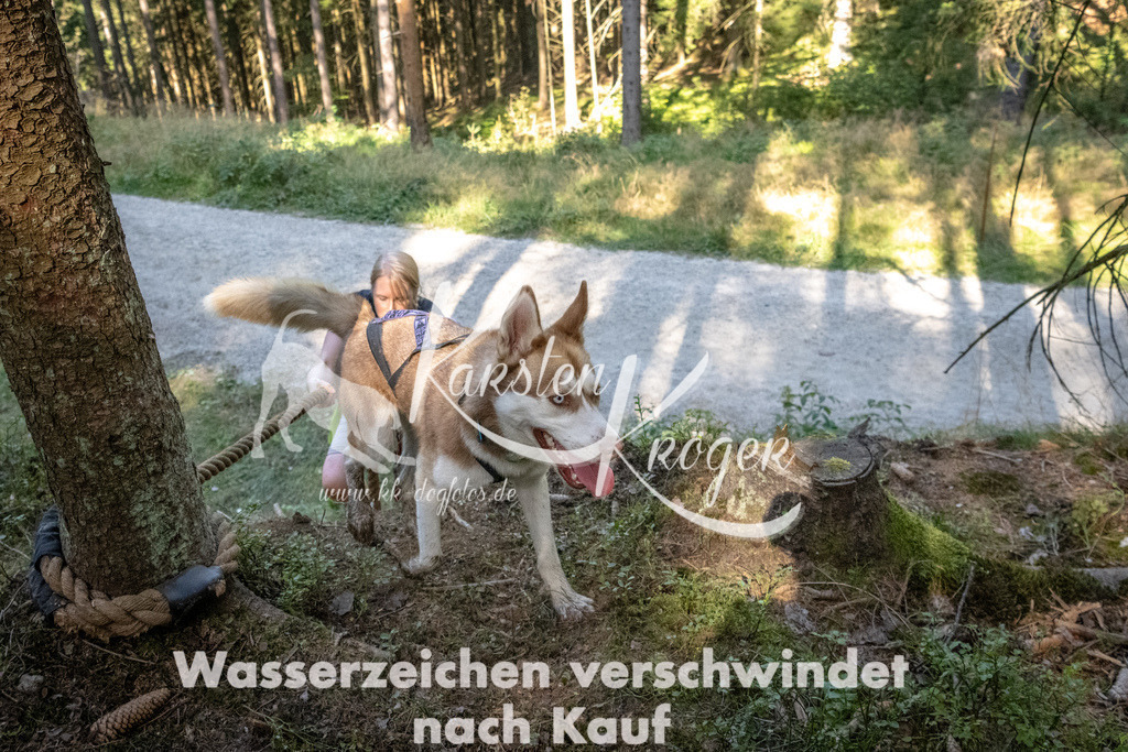 1105_ZZ94331 | kk-dogfotos