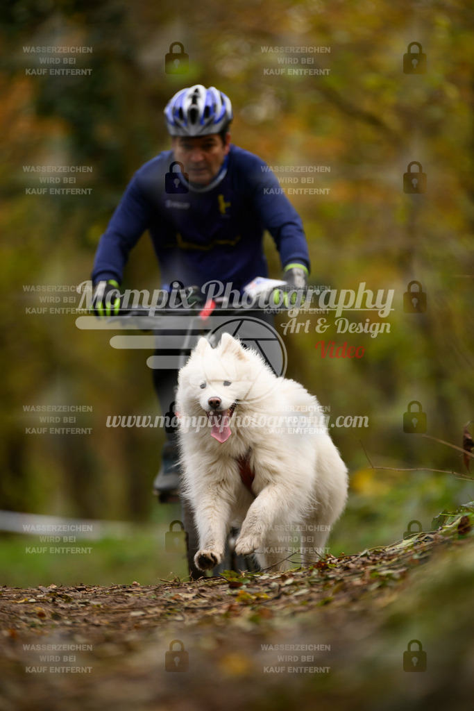 MompixPhotography_Bischwiller24_SA_VTT-93 | PayLife