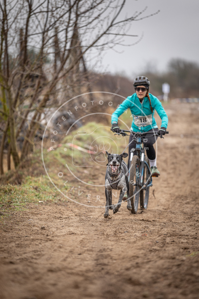 DV3A9005 | Hundefotografie, Tierfotograf, Pfotenfotografie, Fotoshooting Hund, Hunde Portrait, Hundesport, Hundeportraits, Heideshooting, Hunde, Sportfotograf, Hundefotograf, Turnierhundsport, THS,  - Realisiert mit Pictrs.com