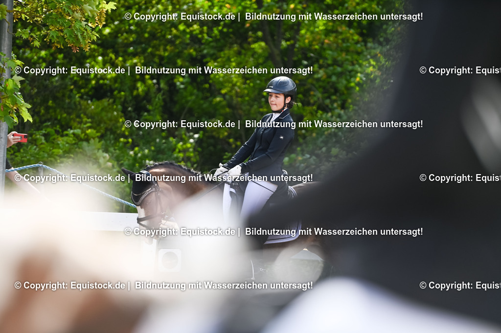 20230716_10-1_Reiter-WB Schritt - Trab - Galopp_0186 | equistock