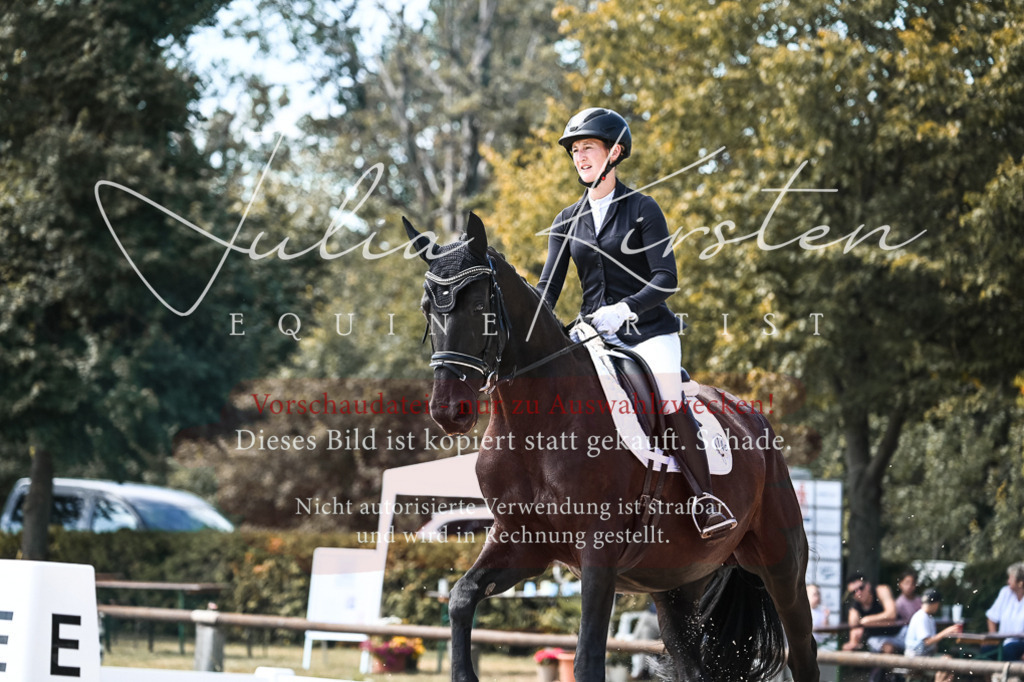 DSC_5340 | Pferde- und Turnierfotografie in Westsachsen. Pferdeportraits, Auftragszeichnungen und intuitive Kunst.