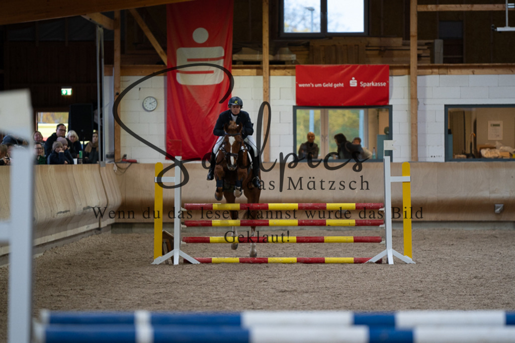 A7V03149 | Pferdefotograf