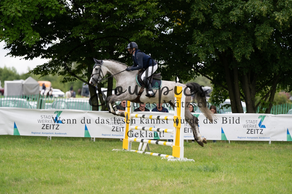 A7V04021 | Pferdefotograf