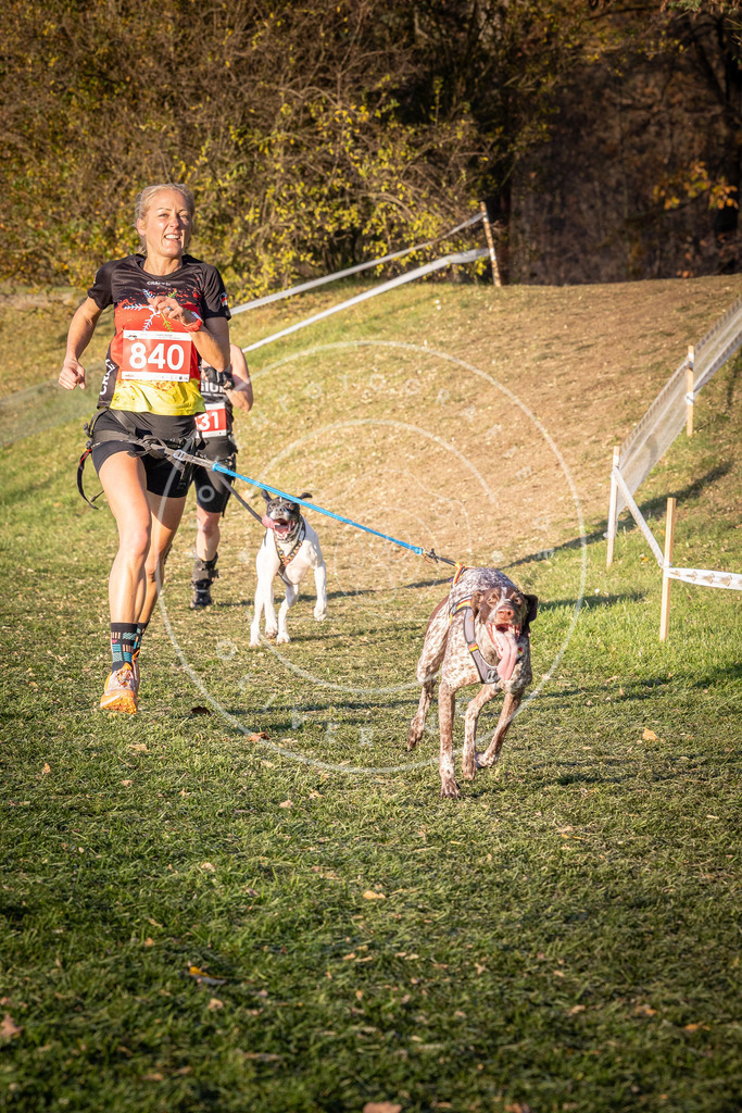 CaniXpix_0L8A0711 | Hundefotografie, Tierfotograf, Pfotenfotografie, Fotoshooting Hund, Hunde Portrait, Hundesport, Hundeportraits, Heideshooting, Hunde, Sportfotograf, Hundefotograf, Turnierhundsport, THS,  - Realisiert mit Pictrs.com