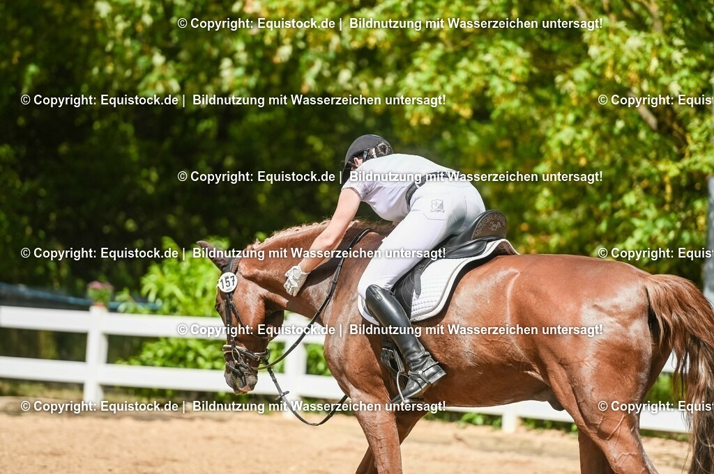 20230715_02_Dressurreiterprüfung Kl.L_0253 | equistock