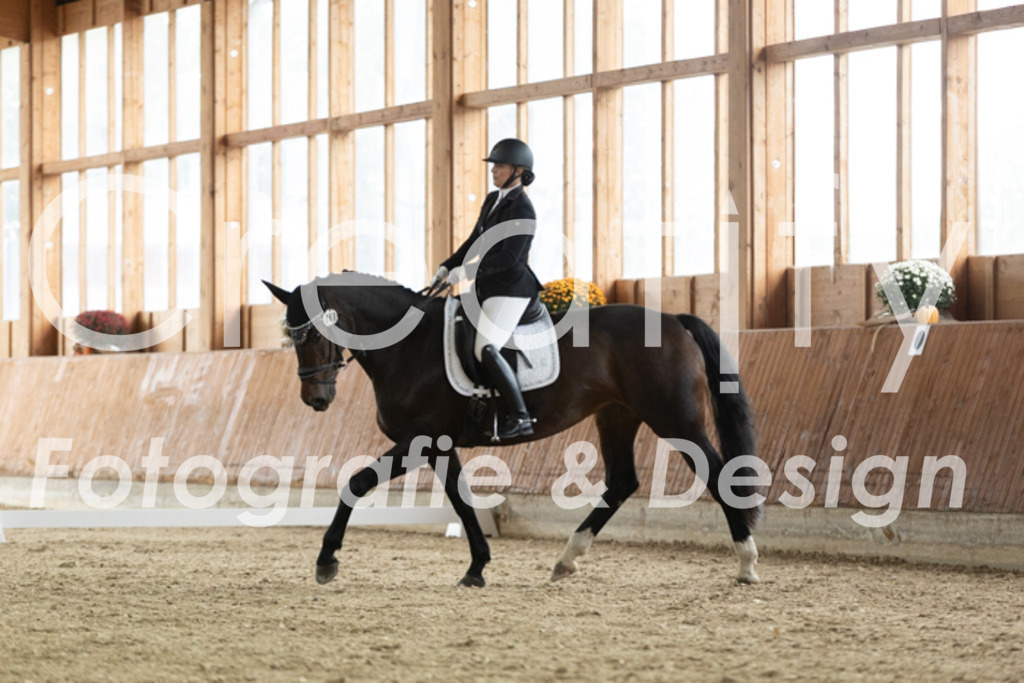 IMG_2679 | Creatify Fotografie