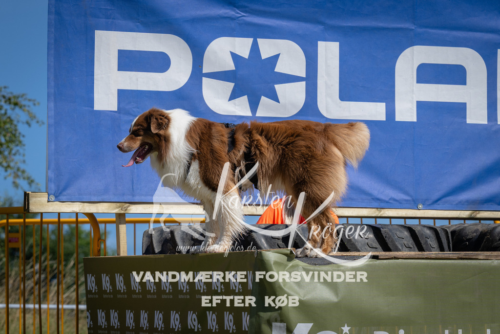 1159_ZZ93193 | kk-dogfotos