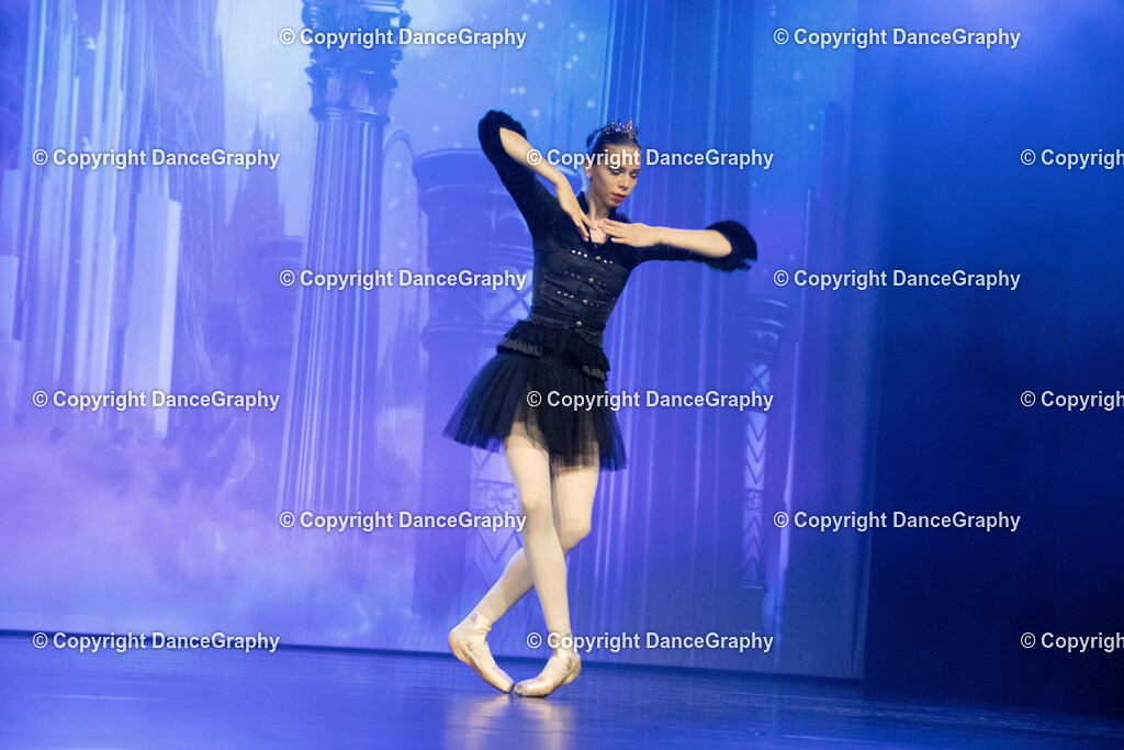 GPHY3145 | DanceGraphy - Realisiert mit Pictrs.com