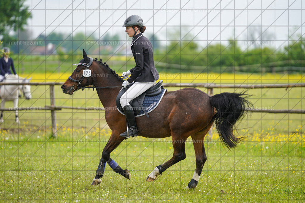 20230520-FAH04864 | Frühjahrsturnier, Landsberg am Lech, 2023, Reitclub Landsberg, Turnierbilder, Fotos Turnier Landsberg, Fotoagentur Herrmann, Turnierfotografen Bayern, Reitsport Fotograf, Pferde Fotograf
