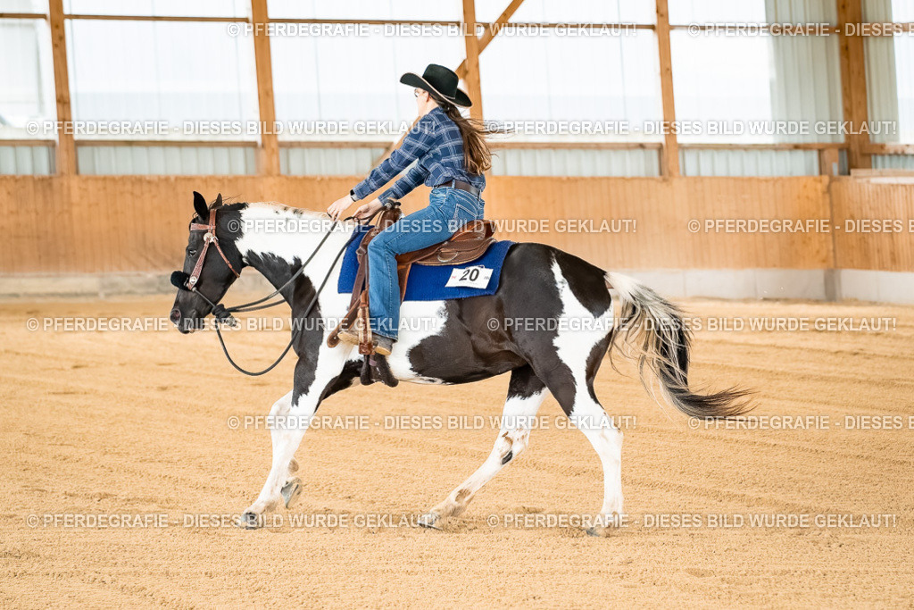 DSC02683 | Pferdegrafie