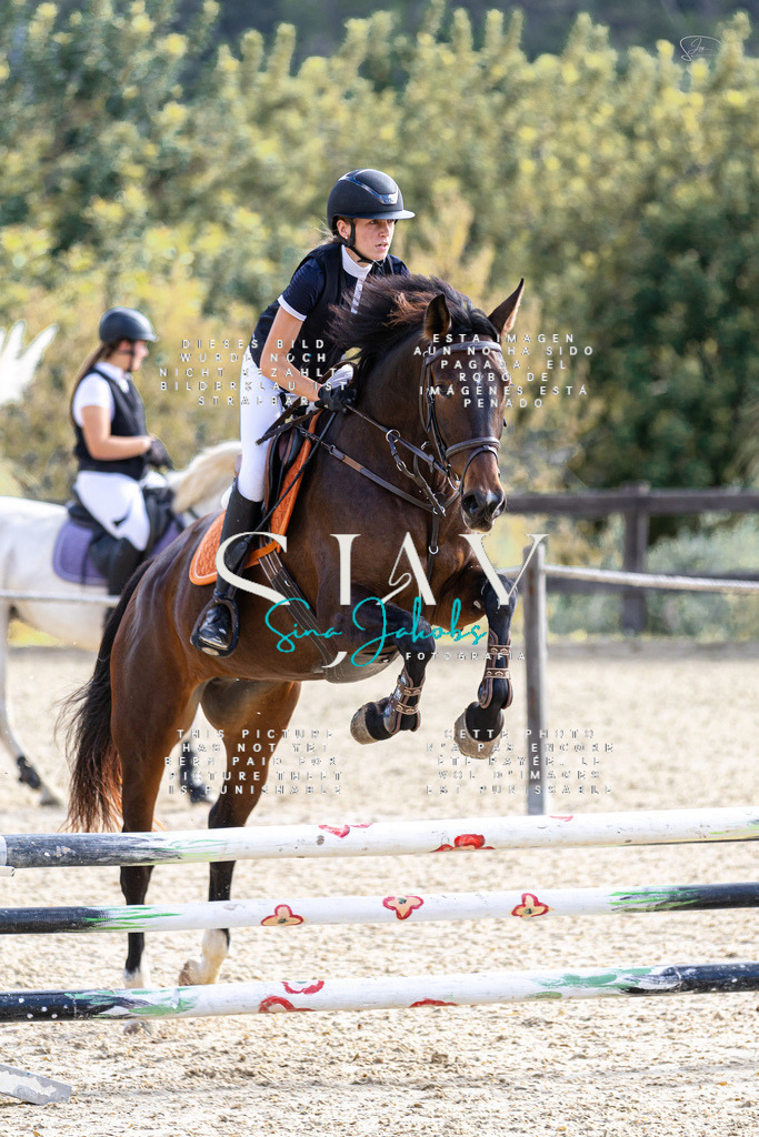 IMG_5779 | s-jay-photography - Realisiert mit Pictrs.com