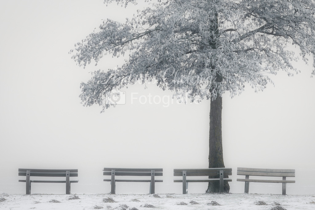 DSC02068_Quer | Der Onlineshop für malerische Fotografien aus dem Landkreis Vechta✅ Premium Druck auf Leinwand✅ Acryl✅ oder Alu-Dibond✅➤Jetzt Bestellen! - Realisiert mit Pictrs.com