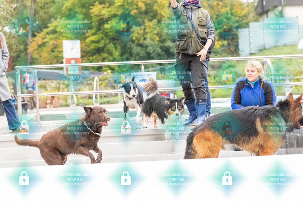 _HP_7408_1000o | HetPix, HetPix Fotodesign, Fotografie, Fotodesign, Webshop, Sportfotografie, Portraitfotografie, Onlineshop, Sportfotografie, Polch, Motorsportfotografie, Eventfotografie