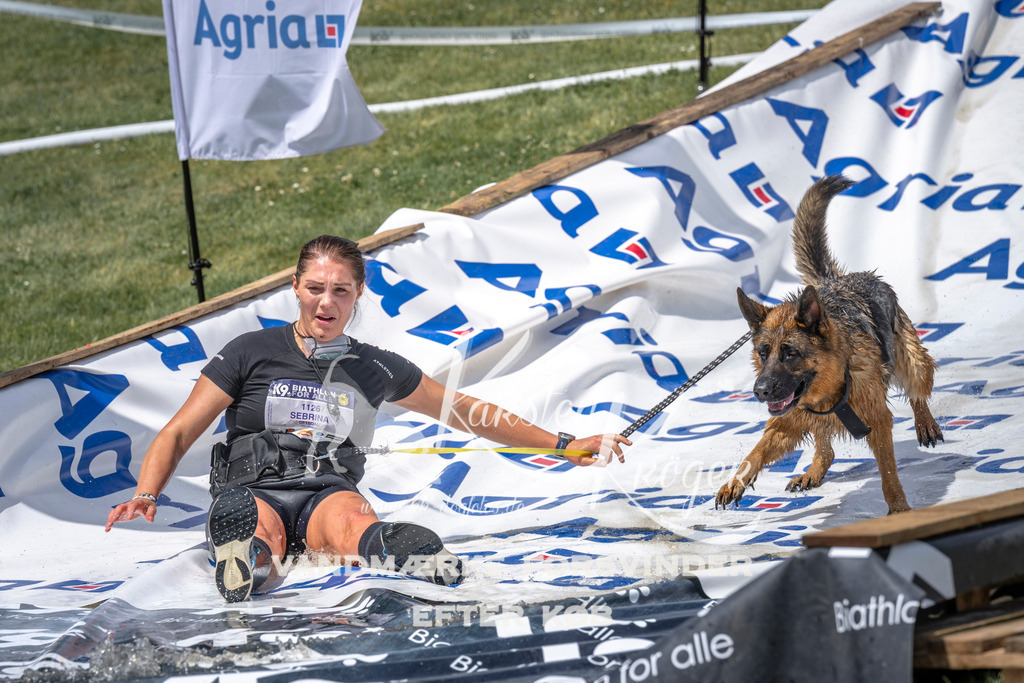 1159_ZZ94562 | kk-dogfotos