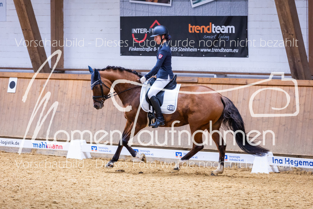 Sth-A-Dre-2St-229 | MomenTaufnahmen Pferdesportfotos