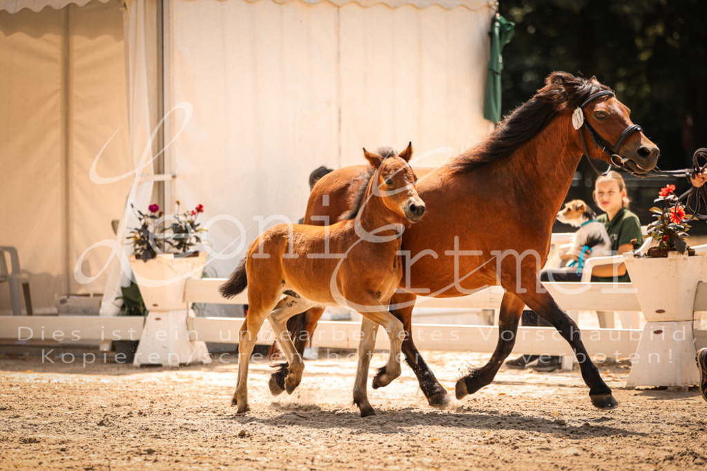 02.DoSR00139 | Leoni Ertmer Photography - Realisiert mit Pictrs.com