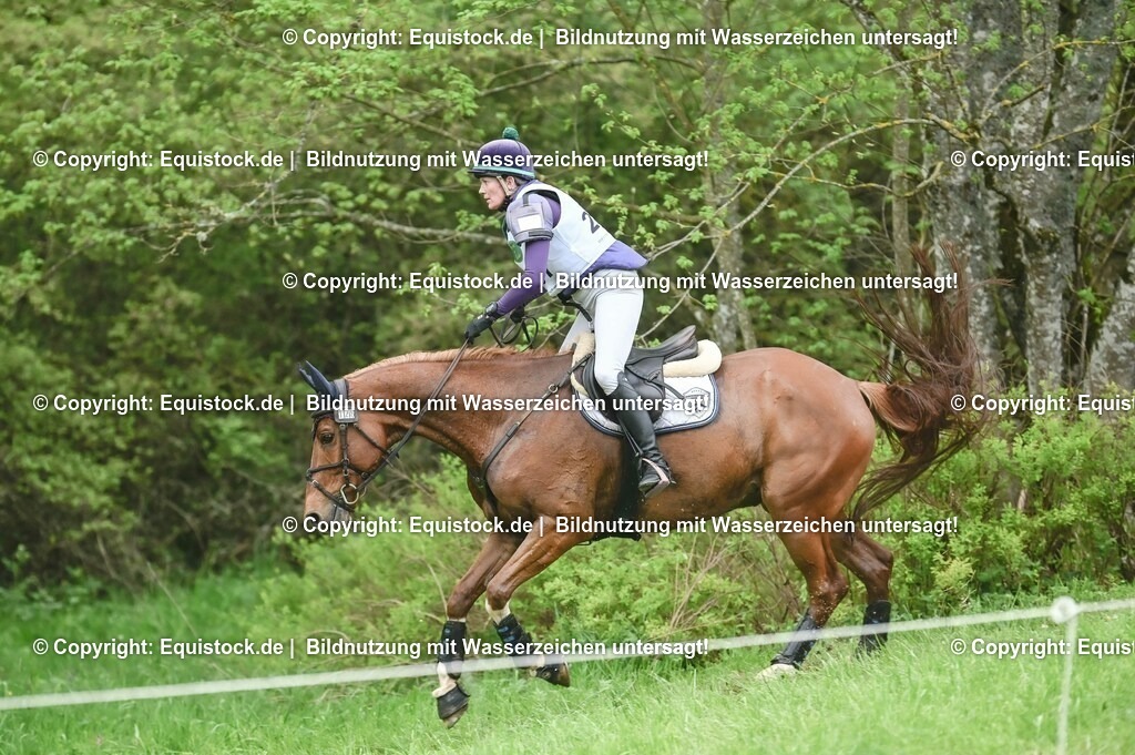 20230513_CCI2_Section2_Gelände_0152 | equistock