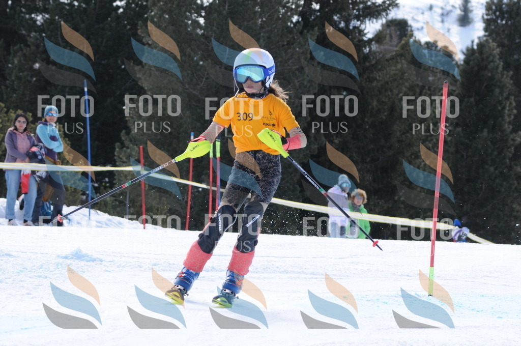 C9173 | holidayphoto