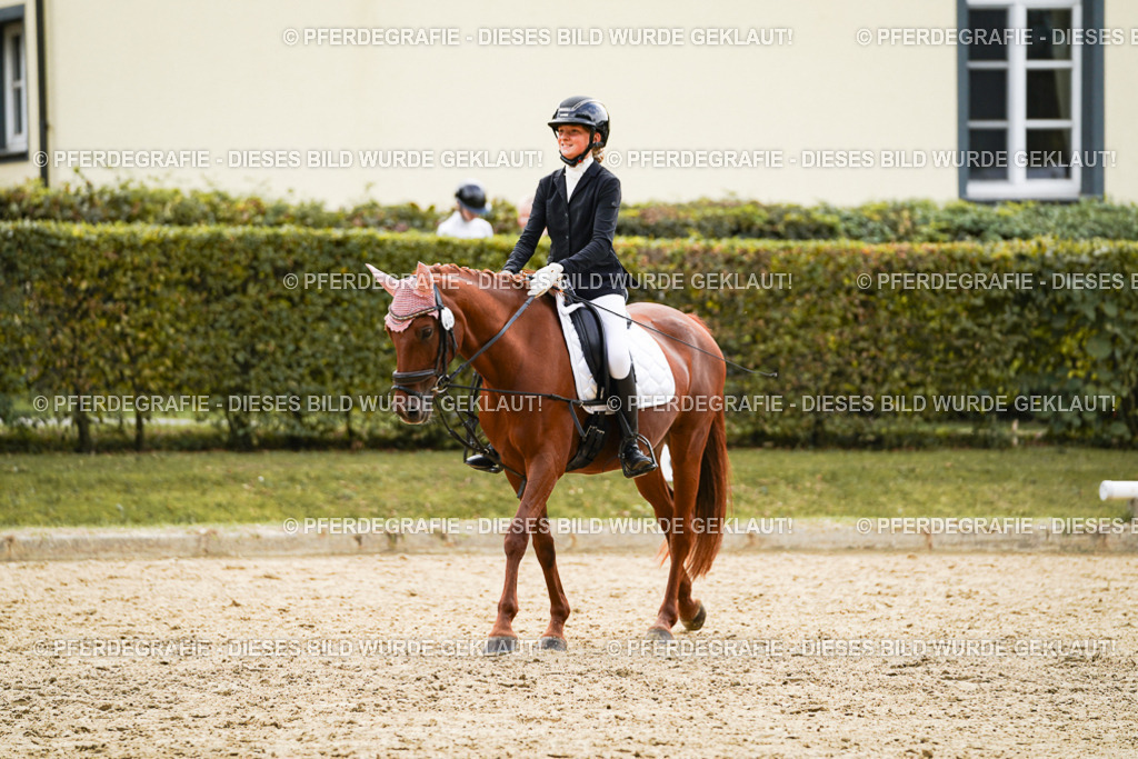 DSC00987 | Pferdegrafie