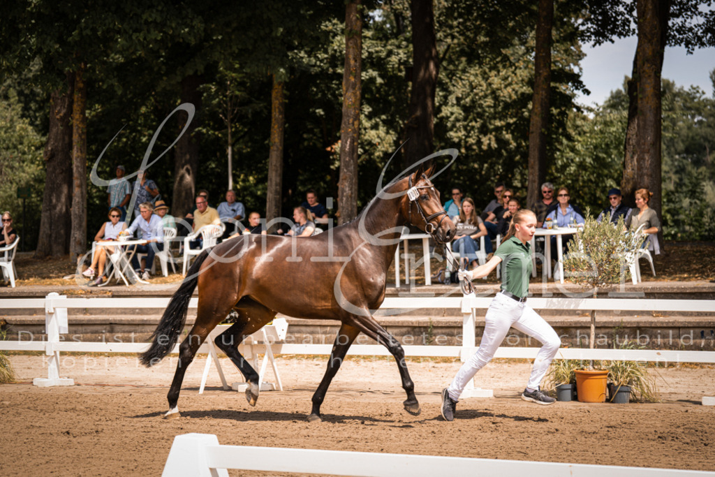 1.Fr00113 | Leoni Ertmer Photography - Realisiert mit Pictrs.com