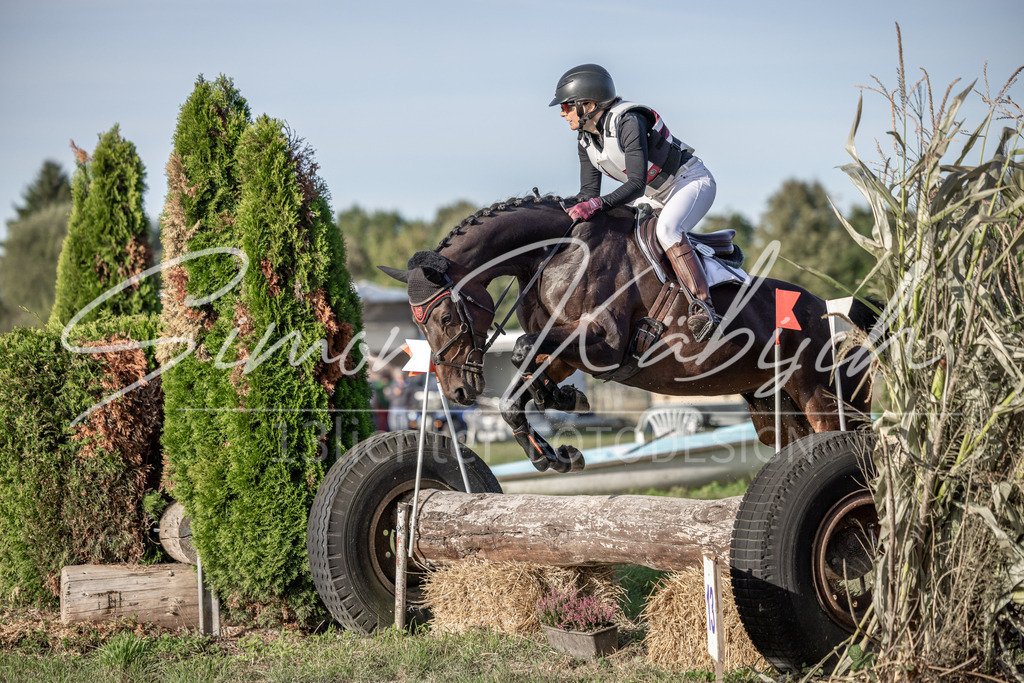 20250907-_3LI8676 | Tierfotografie Pferde, Hunde, Katzen, Haustiere.
Turnierfotografie Reitturniere, Reiten, Springreiten, Dressur in Hanau, dem Main-Kinzig-Kreis und dem Rhein-Main- Gebiet um Frankfurt