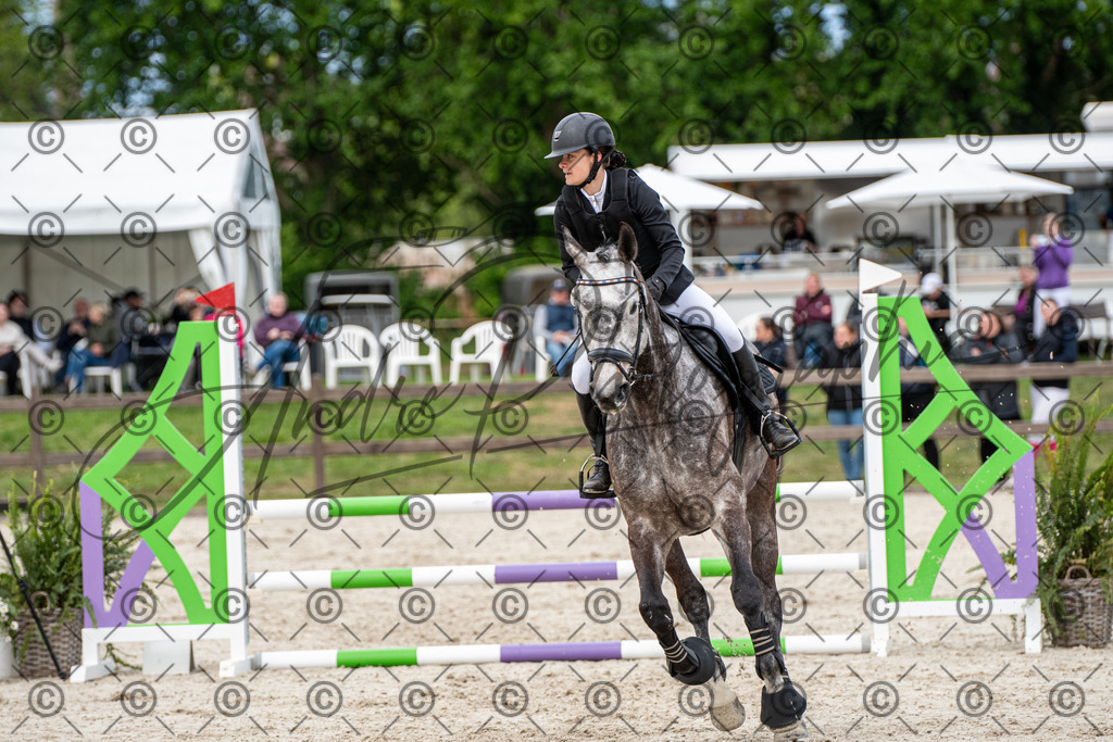 KPT_7285 | andre_photographic