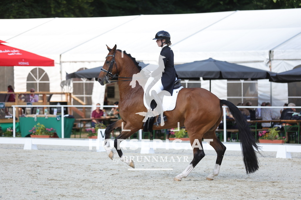 0P6A2442 | Willkommen bei Brunnmayr - Design & Fotografie – Ihrem Spezialisten für Reitturniere und Pferdeveranstaltungen in Oberösterreich, Salzburg und Bayern! Seit über 17 Jahren sind wir leidenschaftlich dabei.