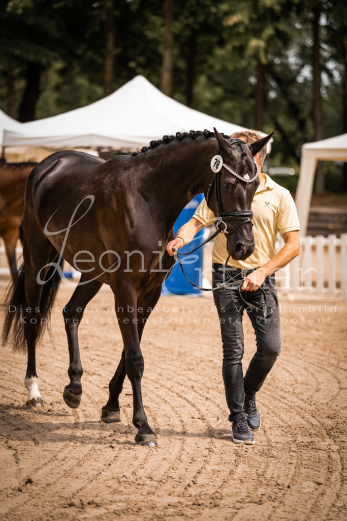 4.Fr00199 | Leoni Ertmer Photography - Realisiert mit Pictrs.com