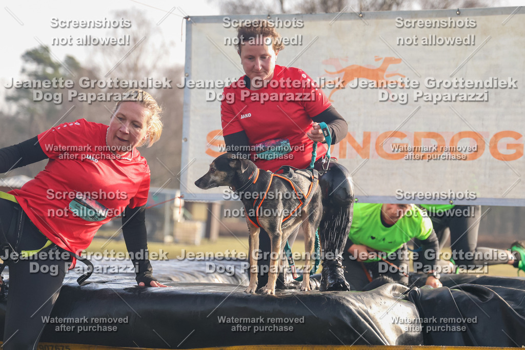 Dog Paparazzi - SD North 0326 900930-264 | Dog Paparazzi Jeanette Grottendiek Fotografie & Videografie - Realisiert mit Pictrs.com