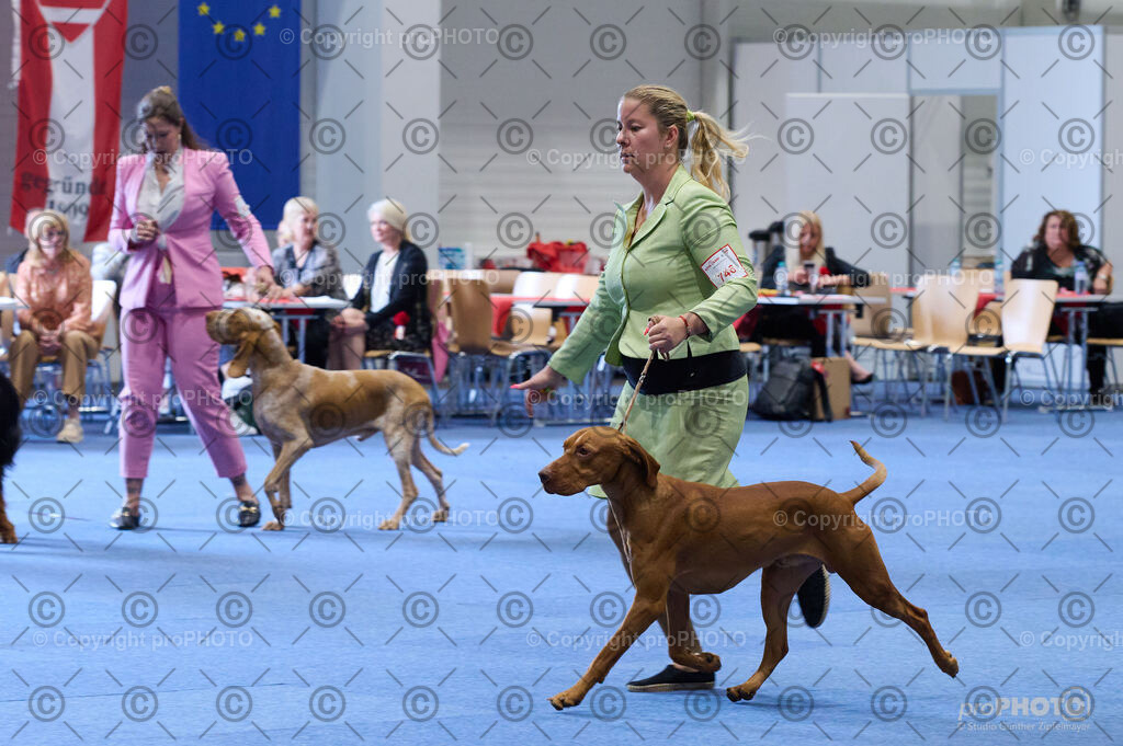 202406_ÖKV-IHA-Tulln24_DSC_5070 | proPHOTO - Realisiert mit Pictrs.com