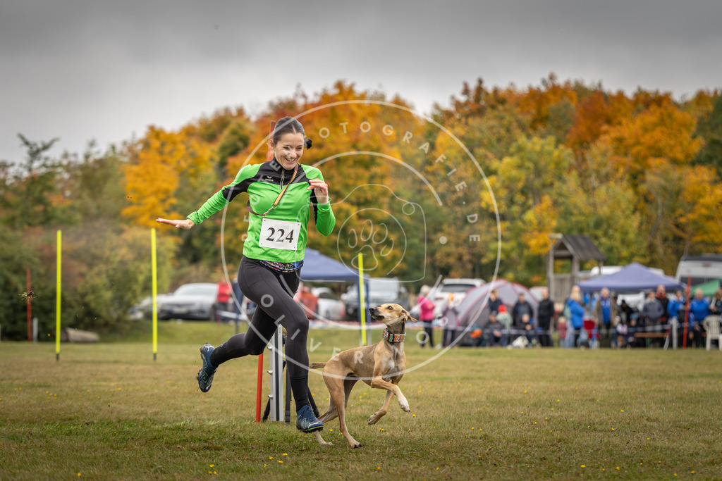 Pfotenfotografie_DV3A3896 | Hundefotografie, Tierfotograf, Pfotenfotografie, Fotoshooting Hund, Hunde Portrait, Hundesport, Hundeportraits, Heideshooting, Hunde, Sportfotograf, Hundefotograf, Turnierhundsport, THS,  - Realisiert mit Pictrs.com