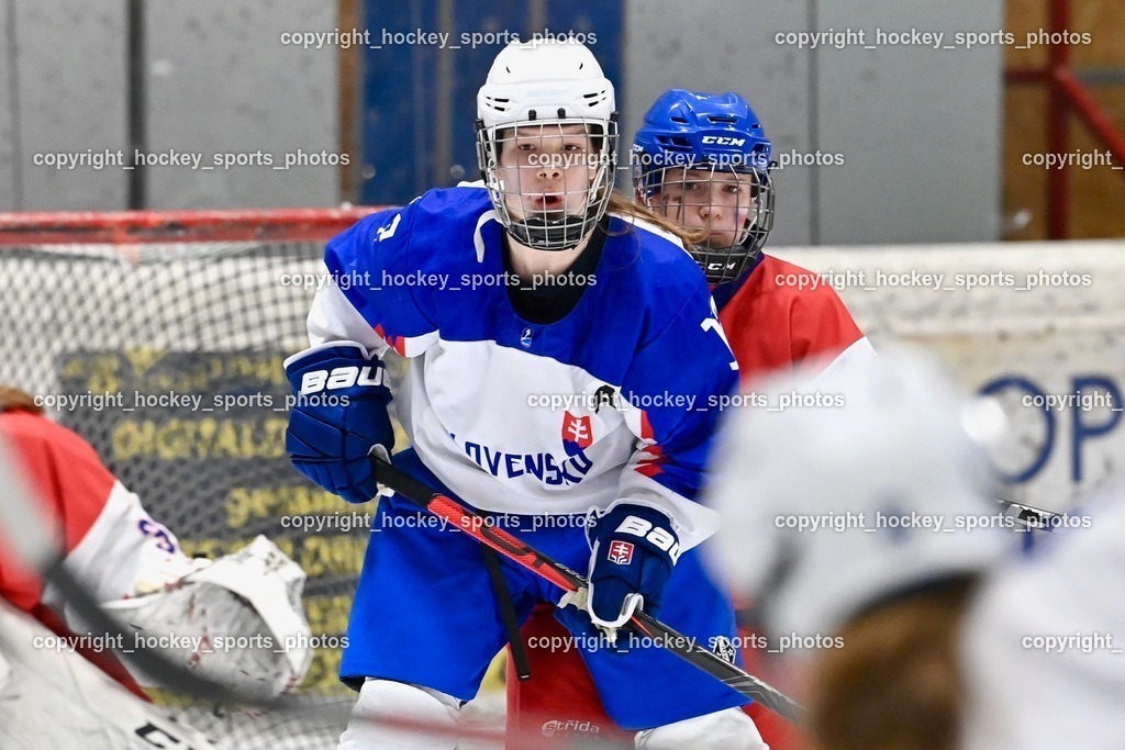 BST_5820 | hockey sports photos, Pressefotos, Sportfotos, hockey247, win 2day icehockeyleague, Handball Austria, Floorball Austria, ÖVV, Kärntner Eishockeyverband, KEHV, KFV, Kärntner Fussballverband, Österreichischer Volleyballverband, Alps Hockey League, ÖFB, 