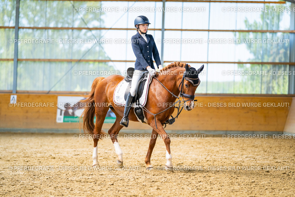 DSC08828 | Pferdegrafie