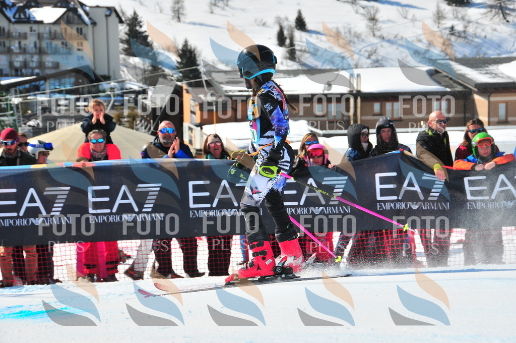 DSC_0963 | holidayphoto