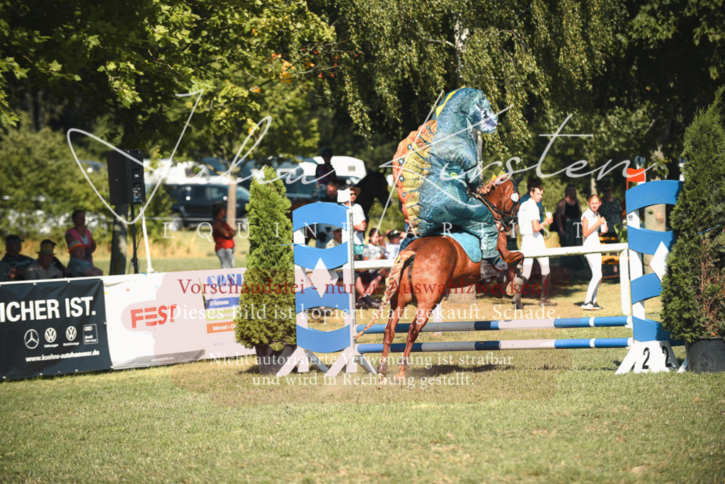DSC_7647 | Pferde- und Turnierfotografie in Westsachsen. Pferdeportraits, Auftragszeichnungen und intuitive Kunst.