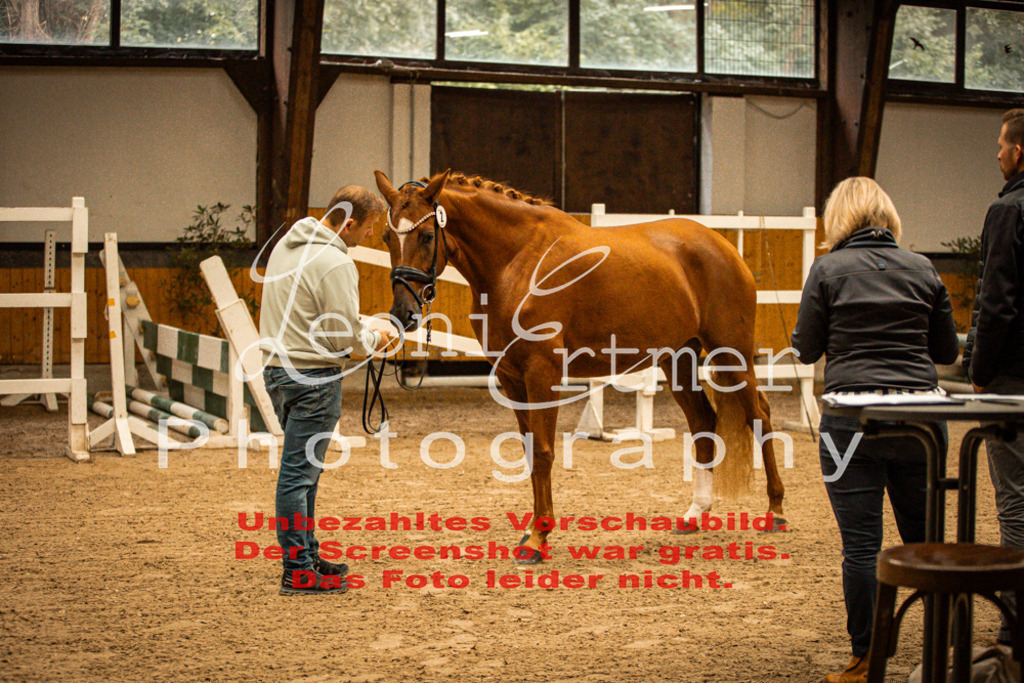 1FS_L00057 | Leoni Ertmer Photography - Realisiert mit Pictrs.com