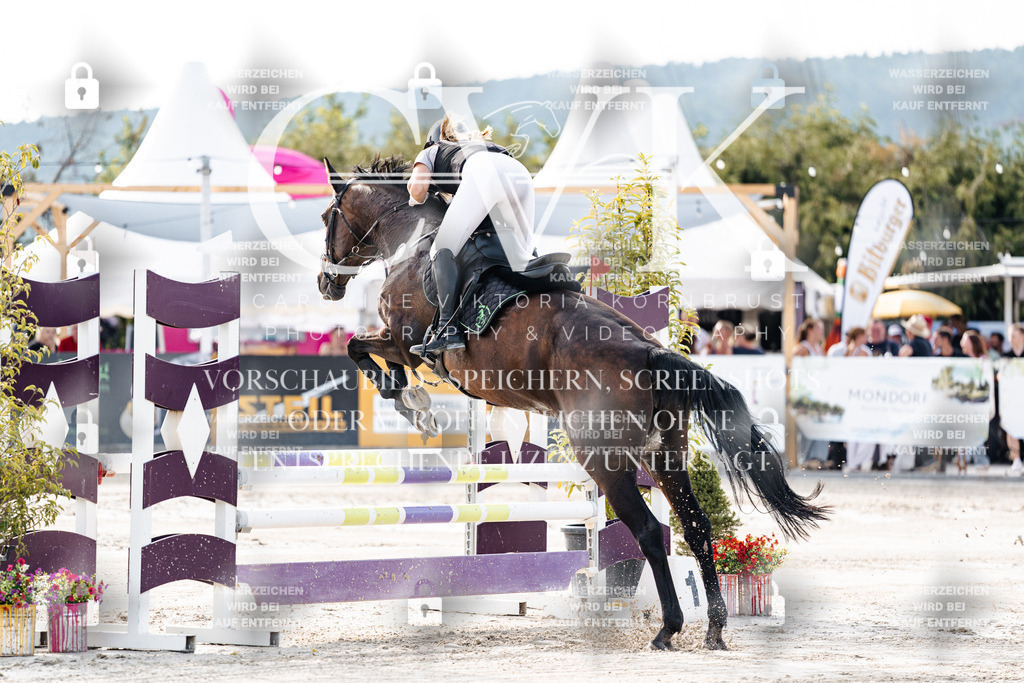 CK906126 | Turnierfotografie Pferdefotografie Trier Rheinland-Pfalz Pferdesport Reitsport Tierfotografie Sportfotografie Pferdevideo Pferdevideografie Equestrianvideography equestrianphotography  - Realisiert mit Pictrs.com