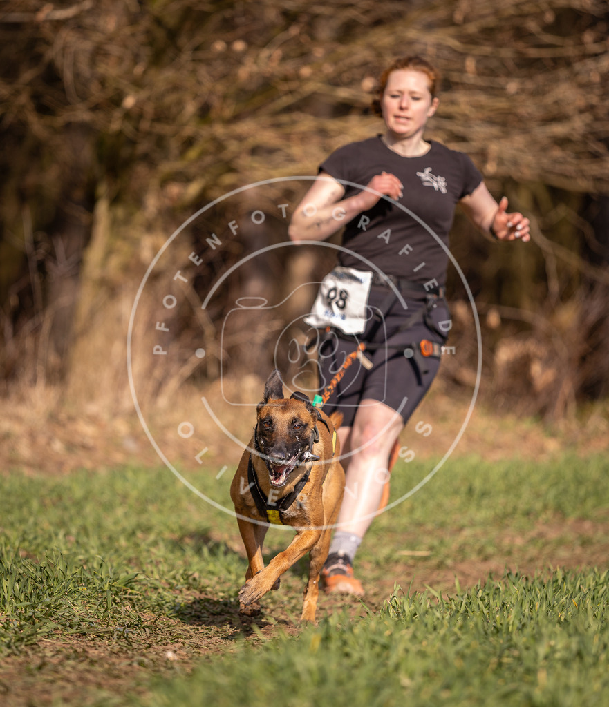 DV3A6414 | Hundefotografie, Tierfotograf, Pfotenfotografie, Fotoshooting Hund, Hunde Portrait, Hundesport, Hundeportraits, Heideshooting, Hunde, Sportfotograf, Hundefotograf, Turnierhundsport, THS,  - Realisiert mit Pictrs.com