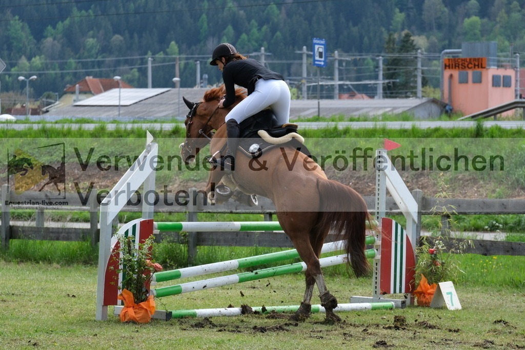 DSCF8185 | equestrian-live-com