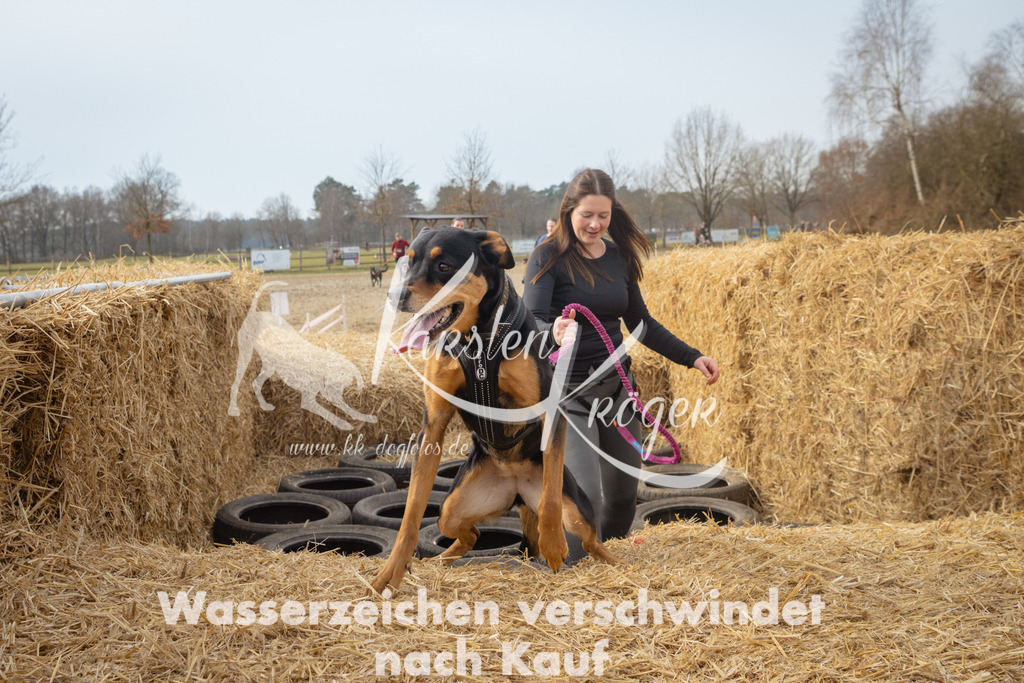 1039_ZZ97104 | kk-dogfotos