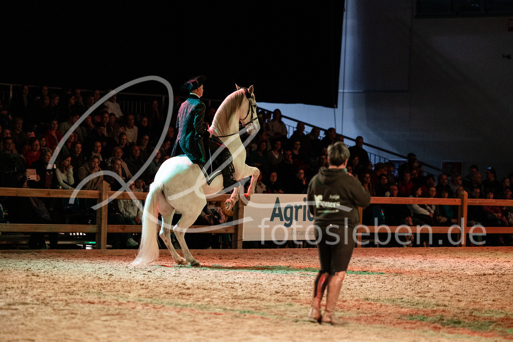 846A7714 | fotosleben - Realisiert mit Pictrs.com