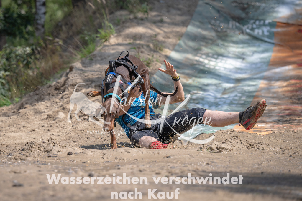 1209_ZZ91902 | kk-dogfotos