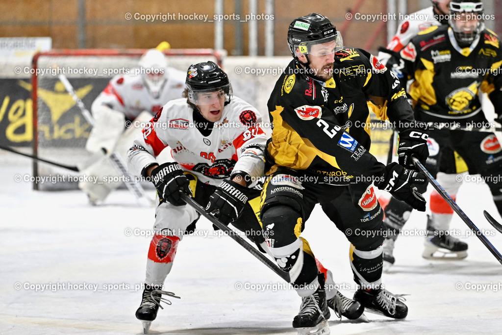 EC MET PHOTOVOLTAIK HORNETS SPITTAL vs. EV ZELTWEG MURTAL LIONS | #90 Bärnthaler Valentin EV ZELTWEG MURTAL LIONS, #23 Sodja Urban EC Hornets Spittal, EC MET PHOTOVOLTAIK HORNETS SPITTAL vs. EV ZELTWEG MURTAL LIONS, EC MET PHOTOVOLTAIK HORNETS SPITTAL vs. EV ZELTWEG MURTAL LIONS am 08.02.2026 in Spittal an der Drau (Eissportzentrum Spittal), Austria, (Photo by Bernd Stefan)